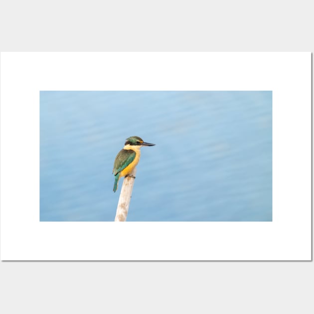 Beautiful sacred kingfisher portrait Wall Art by brians101